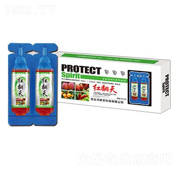 �t���죨����(sh��)��(zhu��n)�ã�-���r(n��ng)
