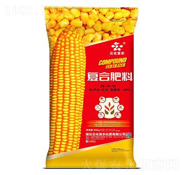 40kg��(f��)�Ϸ���28-10-10-�ƻ����r(n��ng)