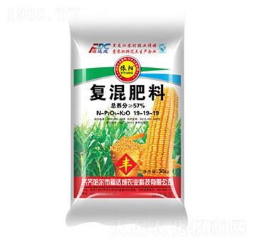 ��(f��)�����19-19-19-���-���_��