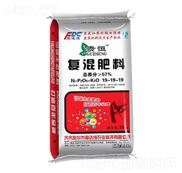 ��(f��)�����19-19-19-�F��-���_��