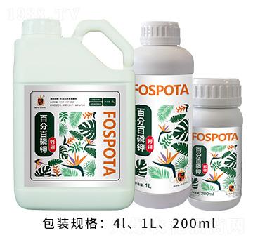 �ٷְ����-���