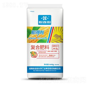 ������(zhu��n)�Ï�(f��)�Ϸ���-�����-���B��