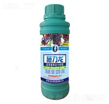 ���ь����~���-ʩ����-�G����