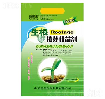 ������ѿ���焩-��������