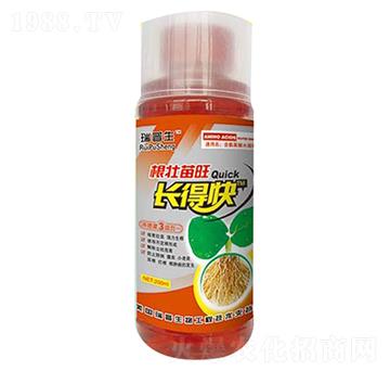 ���������L�ÿ�-��������