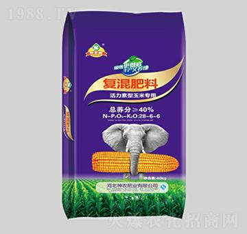 �����������׌��Ï�(f��)�����28-6-6-���r(n��ng)�ʘI(y��)