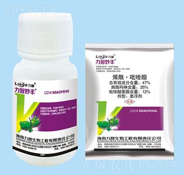 �������S������-��������