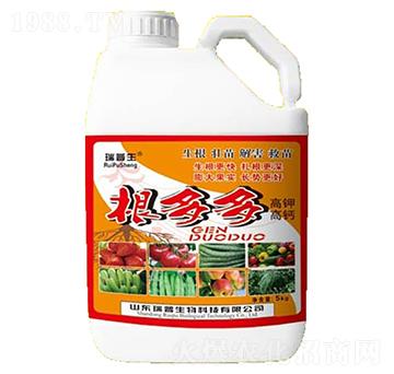 ��⛸��}�����-��������