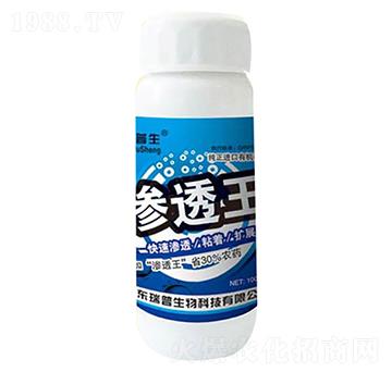 �B͸��-��������