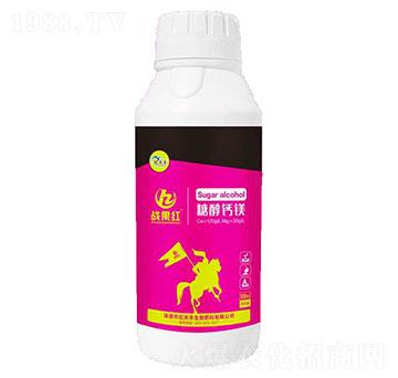 ��(zh��n)���t�Ǵ��}�V-�|���S