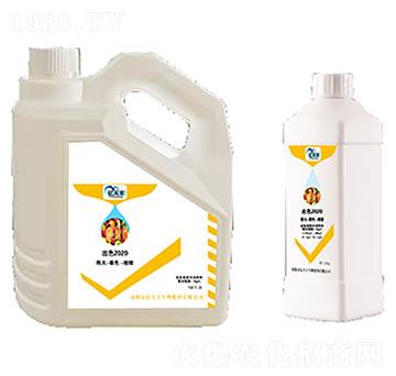 ��ɫ2020-�|���S