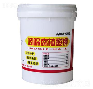 ���ḯֲ���-̫�S�r(n��ng)��