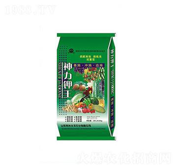 �������-̫�S�r(n��ng)��