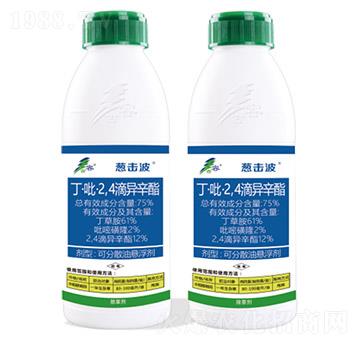 75%��������2��4���ή���֬-�[����-����