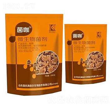 ΢�������-����-����