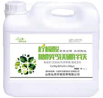 4L�����ᡤ�Ǵ��}�V���\�F-���r����