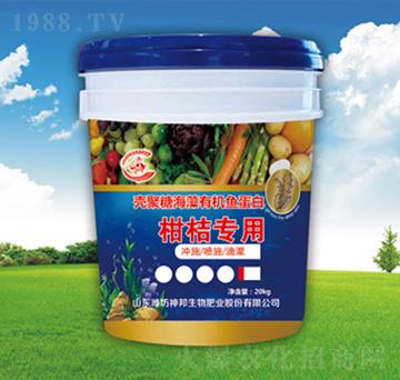 ���ٌ�(zhu��n)�Û_ʩ��-�������