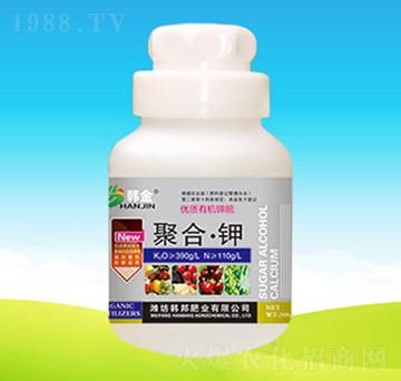 ��(y��u)�|�ЙC⛷�-�ۺϡ��-�n��ʘI(y��)