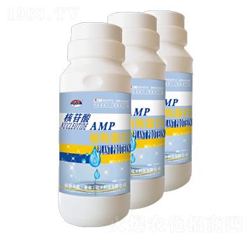 ֲ�ﵰ��-������