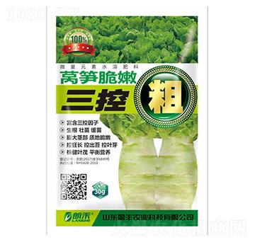 �n�S�������ش�-���A����