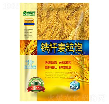 �F�U�����-���A����