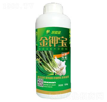 ��⛌�-���A����