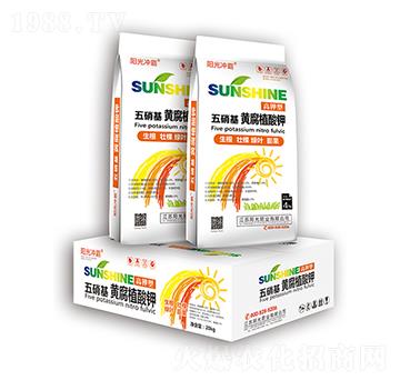 五硝基·黃腐植酸鉀-陽(yáng)光肥業(yè)