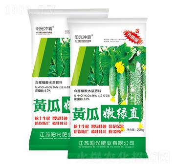 黃瓜嫩綠直-陽(yáng)光沖霸-陽(yáng)光肥業(yè)