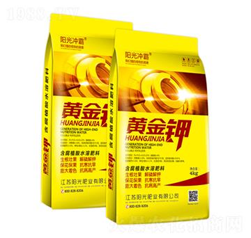 含腐植酸水溶肥料-黃金鉀-陽(yáng)光沖霸-陽(yáng)光肥業(yè)