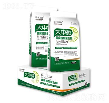 大中微黃腐植酸螯合鉀-陽(yáng)光肥業(yè)