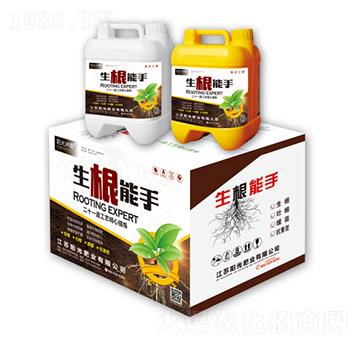 生根能手-陽(yáng)光沖霸-陽(yáng)光肥業(yè)