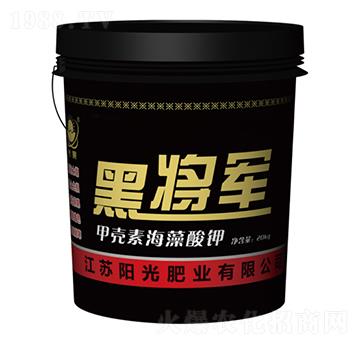 黑將軍甲殼素海藻酸鉀-陽(yáng)光肥業(yè)