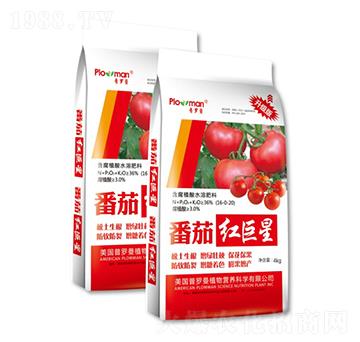 含腐植酸水溶肥料-番茄紅-陽(yáng)光肥業(yè)