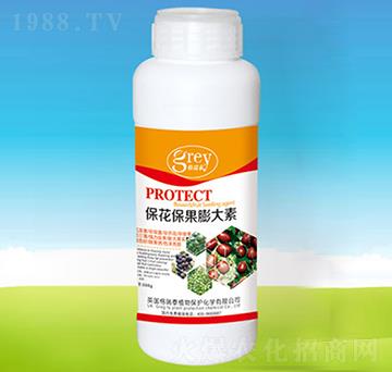 �������������-�ĺ��R�r(n��ng)