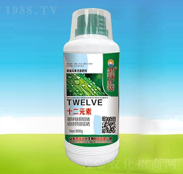 ʮ��Ԫ��-�ĺ��R�r(n��ng)