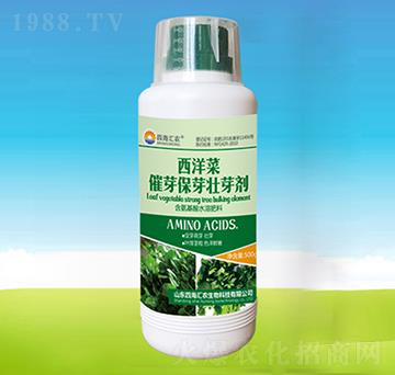 ����˴�ѿ��ѿ��ѿ��-�ĺ��R�r