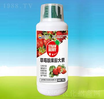 ��ݮ�n�������-�ĺ��R�r(n��ng)