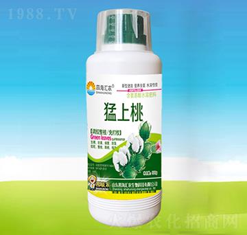 ������-�ĺ��R�r(n��ng)