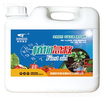 ֲ�Ｑ��-(li��n)��μ�