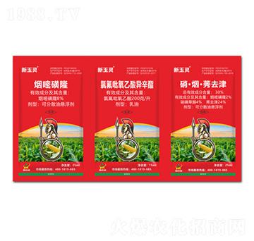 8%���׻�¡+200��/���ȷ��������ᮐ����+30%��������ݬȥ��-�����`-������