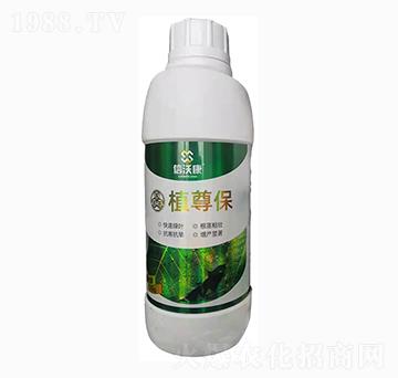1kgֲ��-���ֿ�