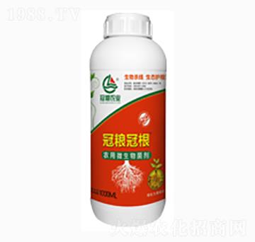 �r(n��ng)��΢�������-�ڼZ�ڸ�