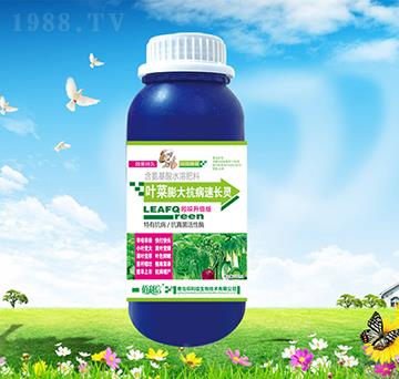 �~����󿹲����L�`-��