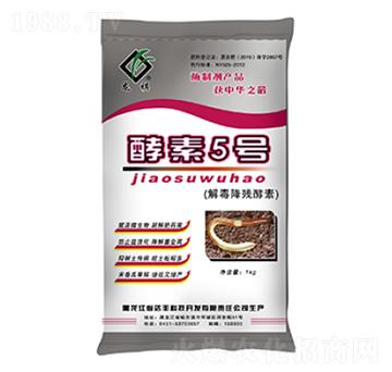 �ⶾ��������-����5̖-�_�S