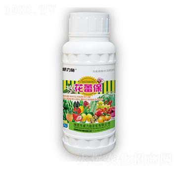 100ml���ٱ�-����