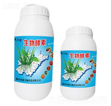 �������ƿ�b-����ʩ