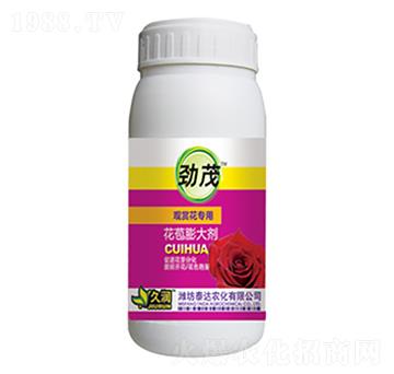 �^�p������-�������