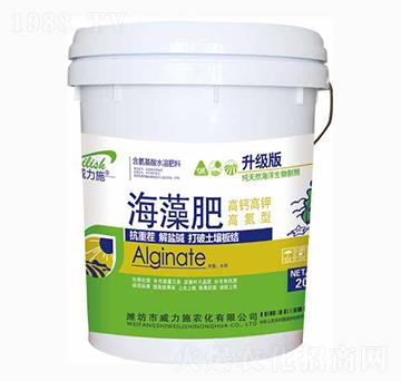 ����(j��)�溣���Ͱ�b-����