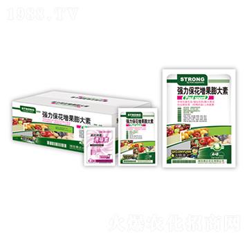 �����������������-̩