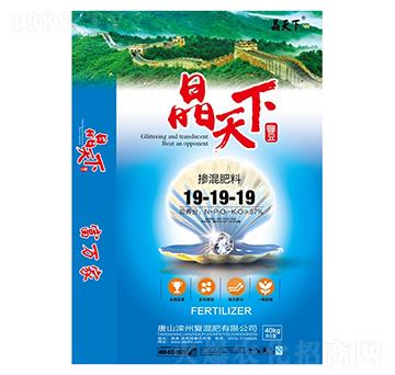 �������19-19-1